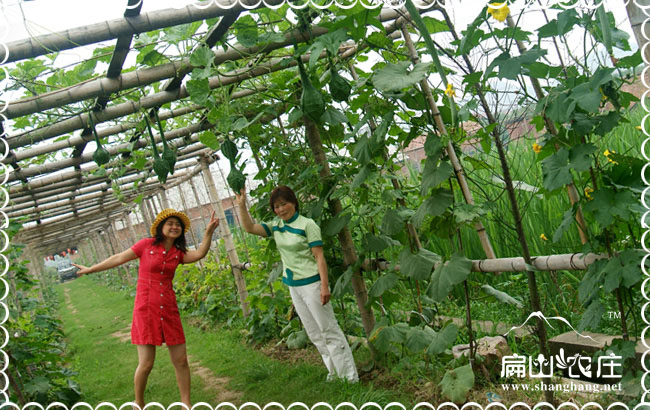 福建生態農莊規劃要注意什么問題？