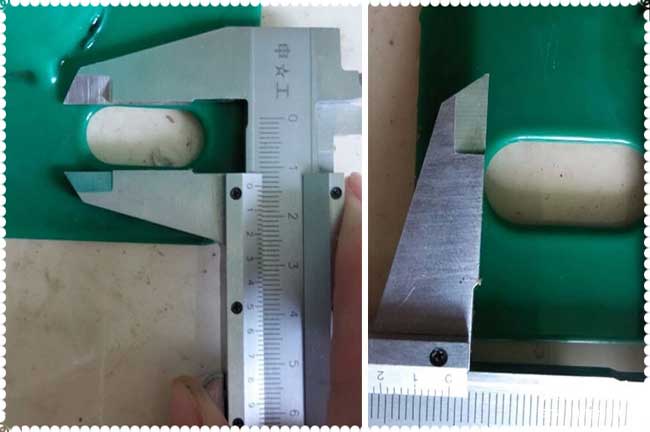 龍巖低碳鋼絲養雞網