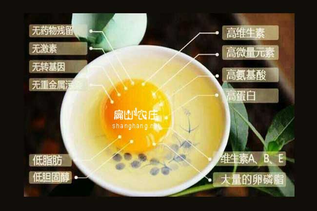 生態土雞蛋