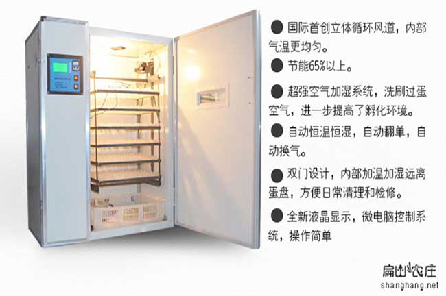 自動控溫孵化器