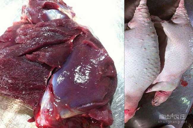 龍巖肉兔內價格