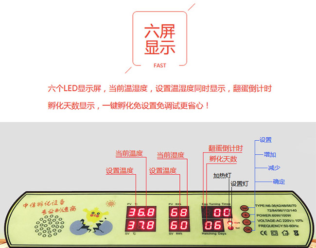 實用型家用孵化機