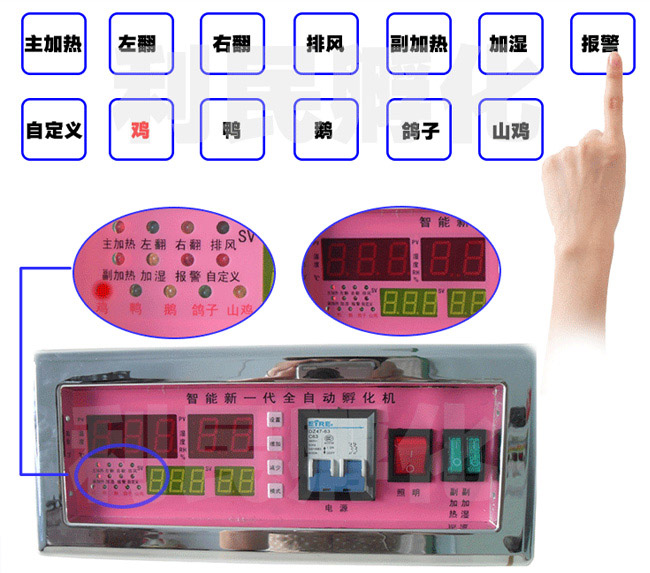 養殖智能孵化器批發