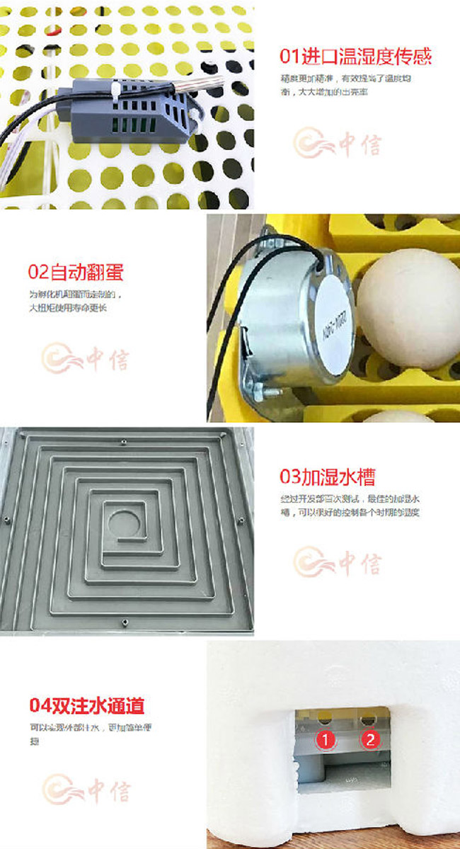 龍巖孵化機生產