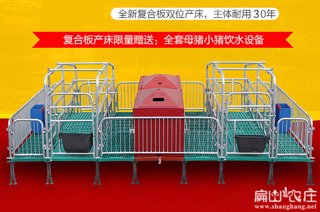 福建母兔產床批發價格