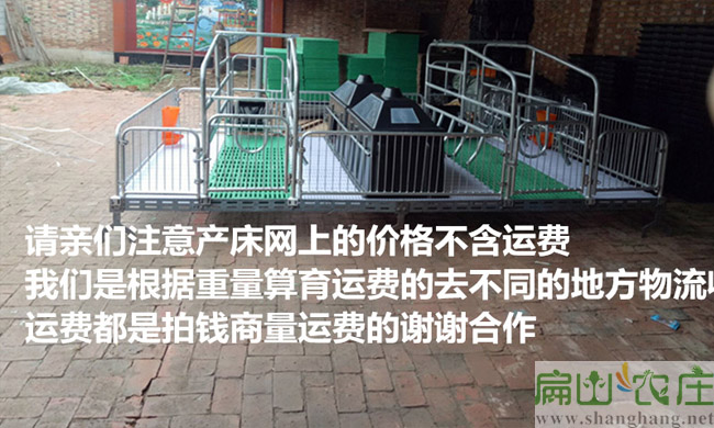 龍巖母兔產床廠家