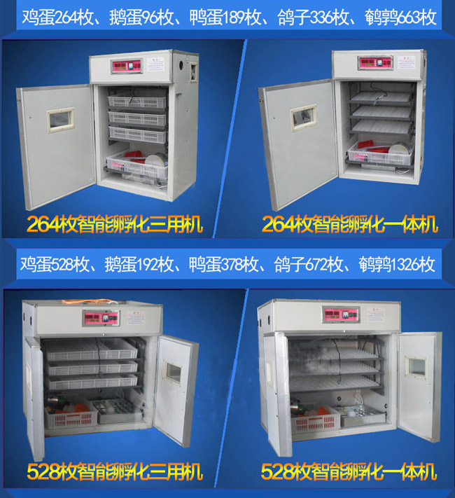 龍巖智能孵化機批發
