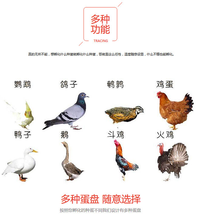 鴨蛋家用孵化機