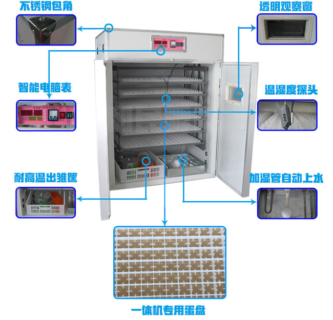 龍巖自動孵化機器