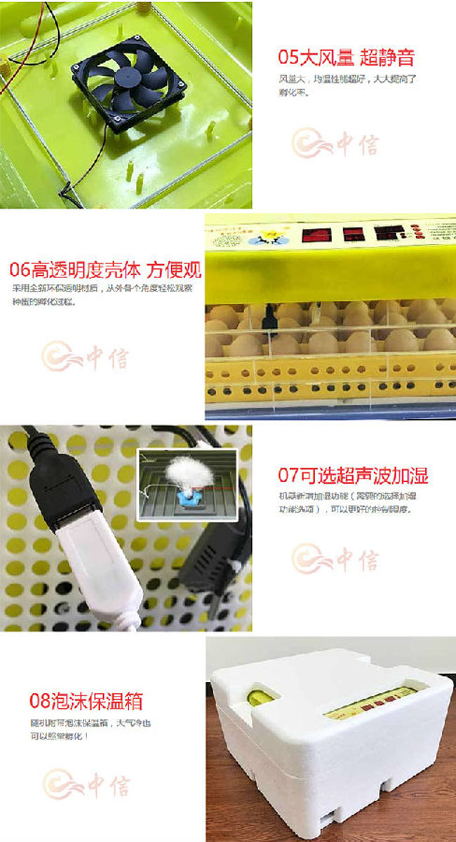 龍巖雞蛋孵化機批發