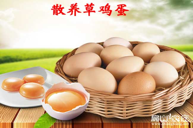 生態貴州土雞蛋