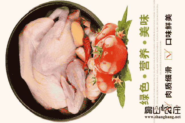 廣東新鮮農家散養土雞