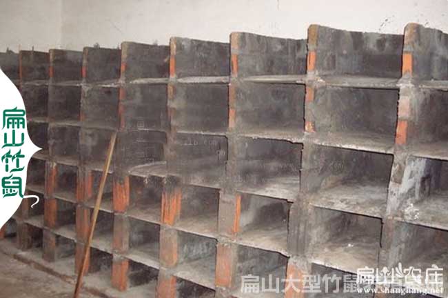 廣西竹鼠養殖池