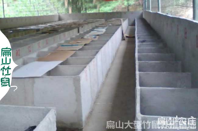 標準的竹鼠養殖基地圖片