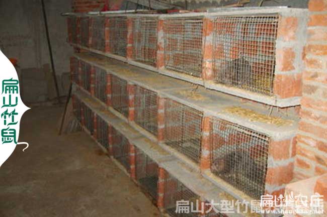 立體竹鼠窩的設計