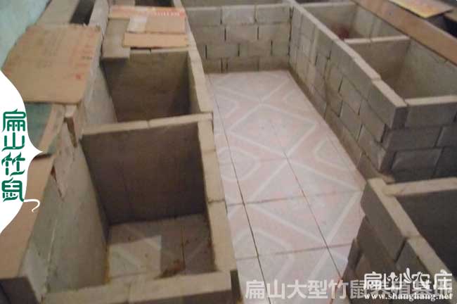 旺蒼竹鼠種養殖場