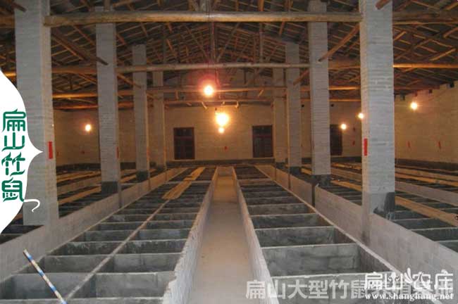 北方能養竹鼠嗎