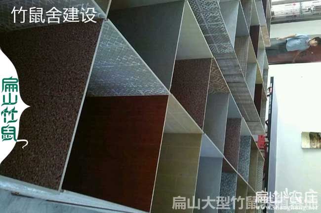 瓷磚養殖竹鼠池的建造標準