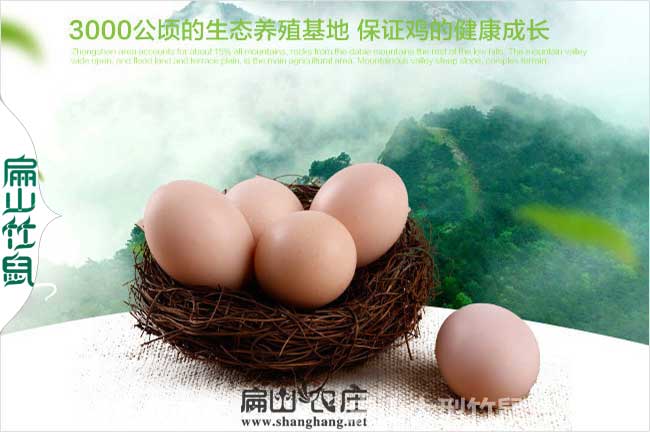 南寧農家土雞蛋批發