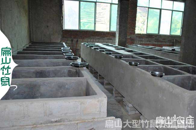 中國花兔竹鼠養殖合作社