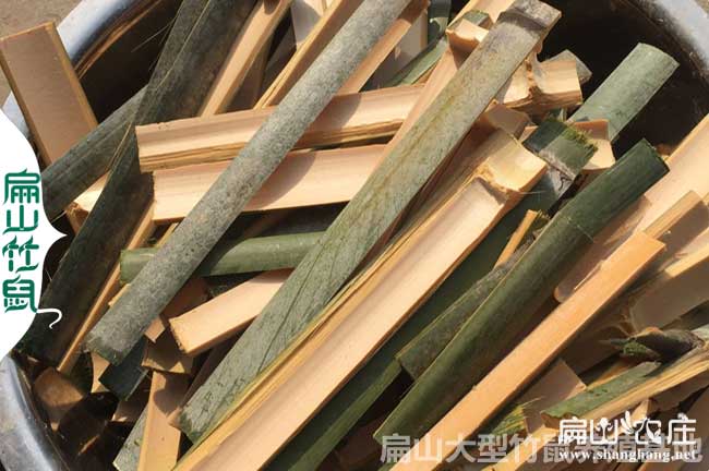 竹鼠實物竹片