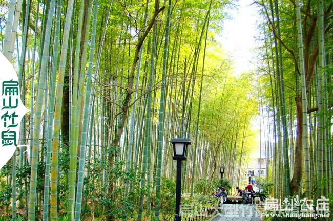 龍巖扁山農莊基地
