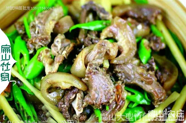 蒼溪竹鼠肉批發價格