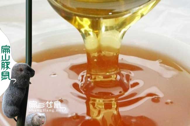 阜陽蜜蜂養殖
