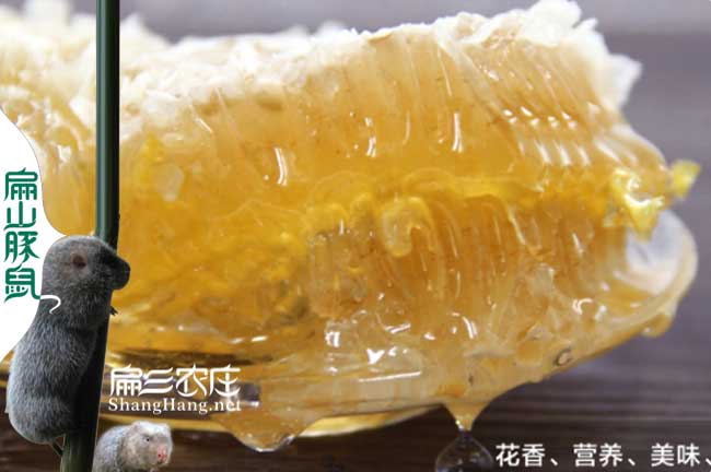 柘榮蜜蜂養殖基地