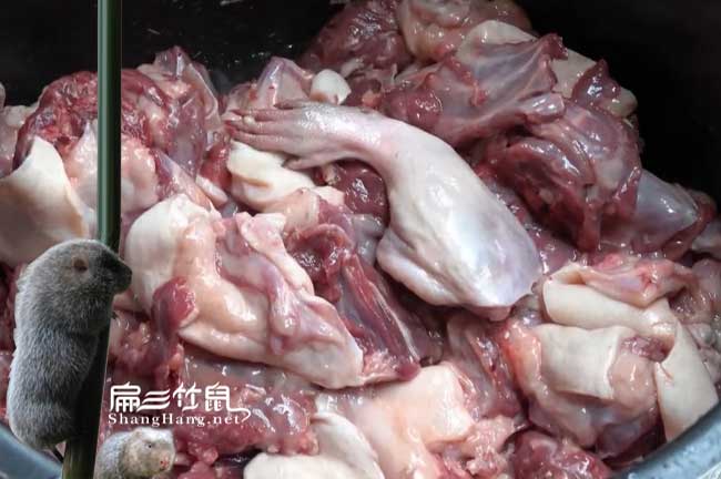 西雙版納竹鼠肉價格