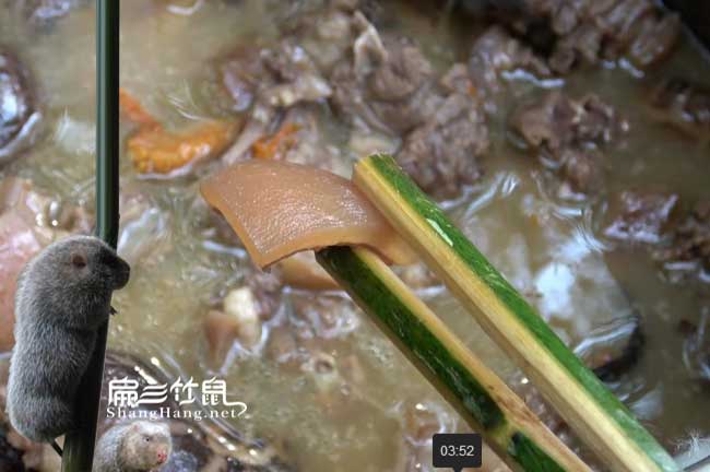 麗江商品竹鼠肉批發