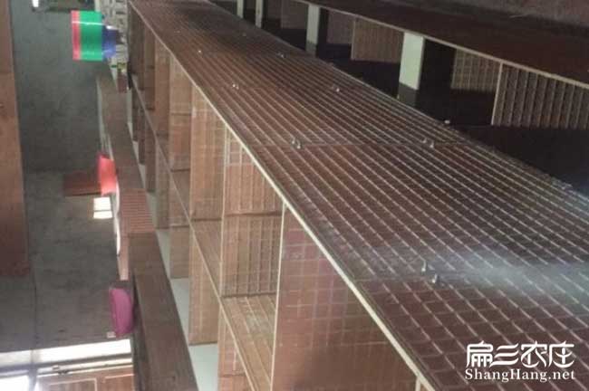廣西竹鼠養殖基地