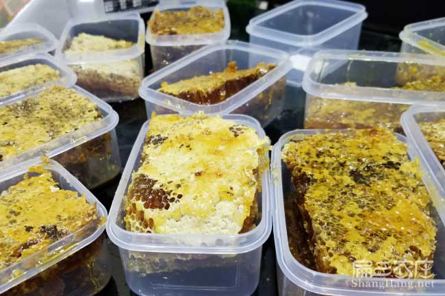 湖南蜜蜂養殖技術培訓