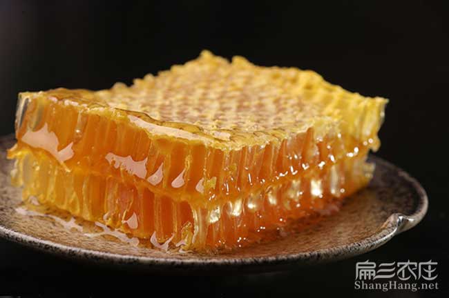 扁山蜜蜂批發