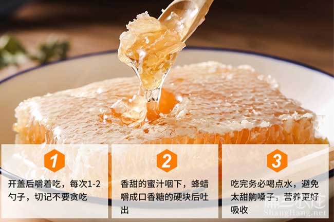 六安養竹鼠之前想好：