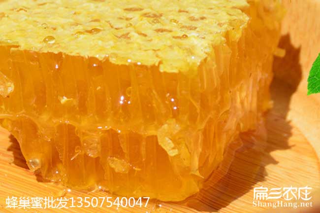 福建老巢蜜批發