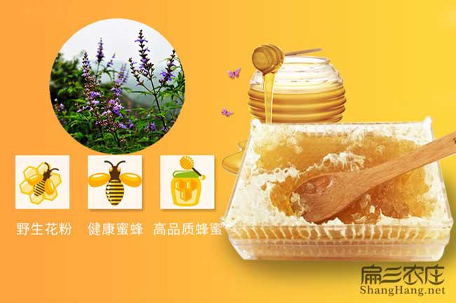 北方能(可以)養殖竹