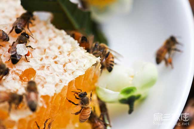 潼關縣高產的的理論依 潼關縣高產的的理論依