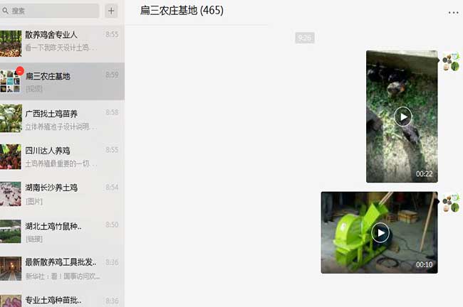 華州國新品種油茶 華州國新品種油茶