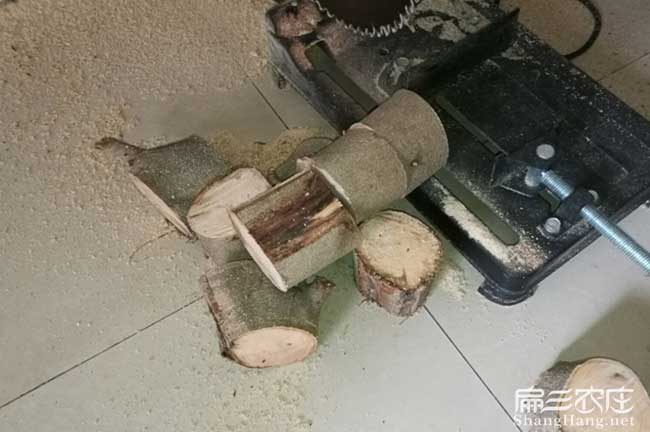 恭城竹鼠基地