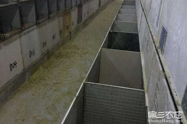 閩侯縣生態竹鼠養殖基地