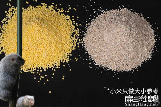 竹鼠補鈣貝殼粉