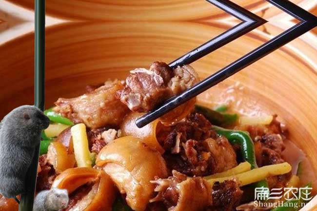 廣西現殺竹鼠肉批發