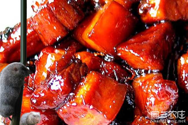 竹鼠肉價格