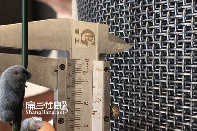 新晃竹鼠養殖網