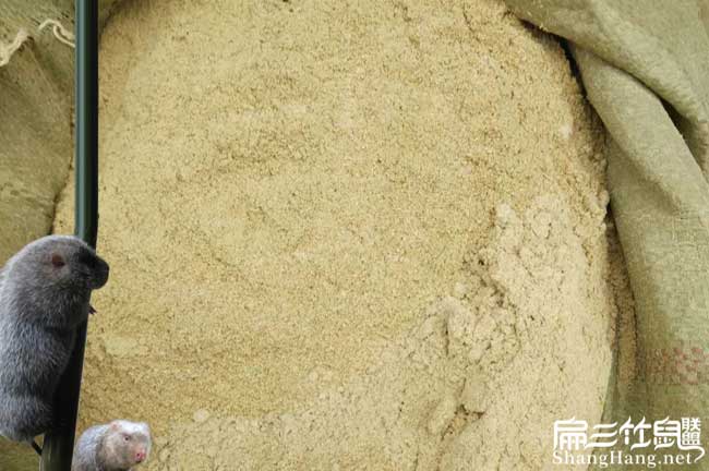 重慶竹鼠養殖米糠