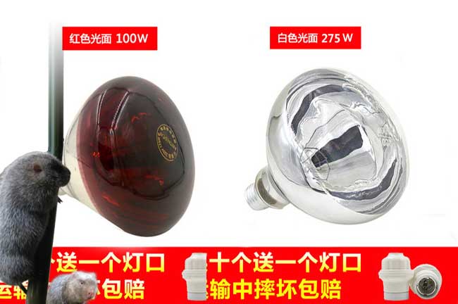 保溫燈批發