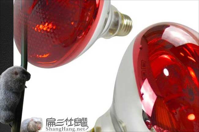 養殖場保溫燈