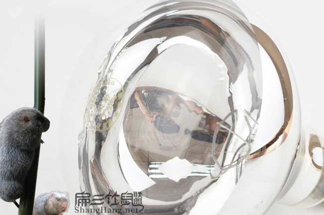 養殖場保暖燈