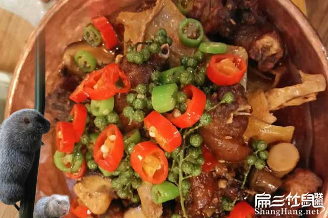 竹鼠養殖騙局梅溪竹鼠 竹鼠養殖騙局梅溪竹鼠